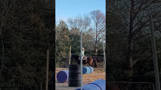 new fun edit 22 days till christmas #horsebackriding #horse #cantering #horse-edit