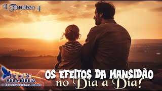 OS EFEITOS DA MANSIDÃO NO DIA A DIA!