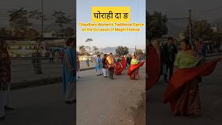 Tharu women Dance||Maghi 2080||Dang Ghorahi||#shorts#youtubeshort#youtube#dang#ghorahi#nepal🇳🇵