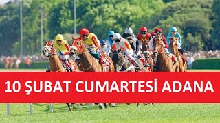 10 ŞUBAT 2024 CUMARTESİ ADANA AT YARIŞI TAHMİNLERİ VE YORUMLARI