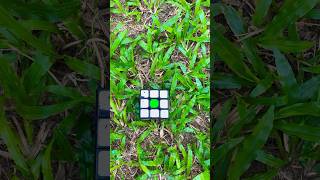 WhatsApp logo on Rubik’s cube.|Subscribe|#short