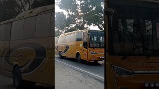 Bus Bintang Utara #shorts #busmania #pecintabis