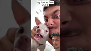 🤣Funny videos🤣 Dog Sounds like Donald Duck #dog #comedy #pets #titmouse #youtubeshorts #ytshorts