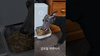 저녁밥 한상