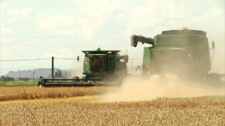 Wheat Fields