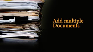 How to add Multiple Documents