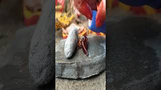 Grand tiny food bata masala#shorts#food#miniature#cooking#shortvideo #viralvideo#viralshorts#asmr