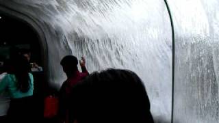 Wave Tunnel at Monterey Bay Aquarium