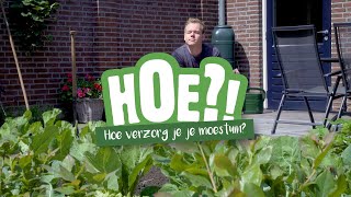 Hoe verzorg je je moestuin? | HOE?! | Welkoop