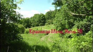 Красивая Меча, 2018