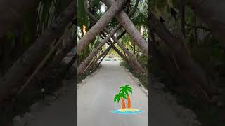 Entering an oasis #island #beautiful #peaceful #hot #subscribe #sand #water