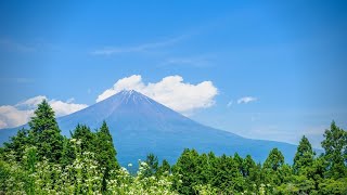 I Climbed Japan's Highest Mountain, Mt. Fuji! | Climbing Mount Fuji via Yoshida Trail in Summer 2023