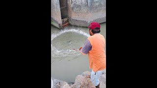 Impresionante!!.. la PESCA con ATARRAYA que hace sin pensar este PESCADOR cerca al Mar