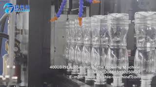 4000BPH Bottle Blowing Machine