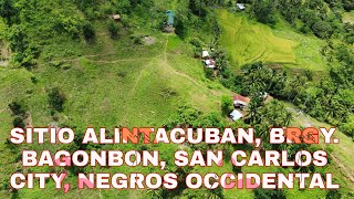 SITIO ALINTACUBAN, BRGY. BAGONBON, SAN CARLOS CITY, NEGROS OCCIDENTAL