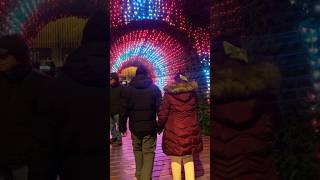 Beautiful Light Show 🇨🇦|#shorts #trending