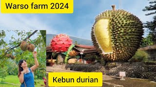 KEBUN DURIAN WARSO FARM BOGOR TERKINI || TEMPAT WISATA HITS YANG RAMAI DIKUNJUNGI