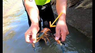 Fishing - pescadores se metieron a este lugar y no creerás los animales tacados que capturan a mano