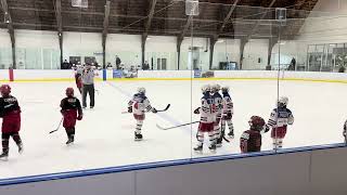 Garden City Minor Falcons Jan 16th Third Period