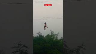 Zip line #shorts #short #youtubeshorts #shortsvideo #subscribe #viralshort #instagram #trending #4k