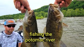 BIG BASS in NORTHERN VIRGINIA POTOMAC RIVER (New PB)