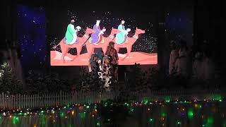 Nativity Play - KCA Ipswich - Christmas 2023