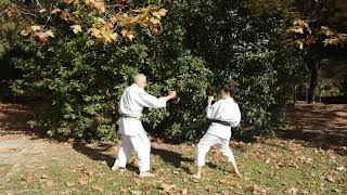 Sanbon kumite Keri Nihonme