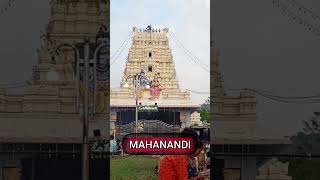 MAHANANDI || Karthika pournami || Subscribe for more videos 📸#lokupranks#Nandyal#mahanandi#lordshiva