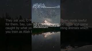 Surah Al-Ma'idah Mishary bin Rashid Alafasy I Ayah 04