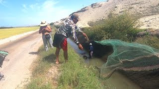 El Joven  pescador tira su Red Cerca al río sin Imaginar llevarse esta Gran Sorpresa