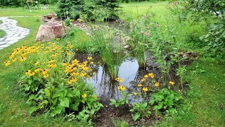 GIARDINO ANTIALLUVIONE 🌧️🌳💧#raingarden  #garden  #gardenideas #rainbarrel