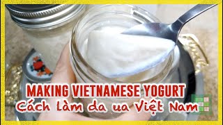 😋  Secrets in Making Creamy Vietnamese Yogurt | Bí quyết cách làm món da ua Việt Nam - #277