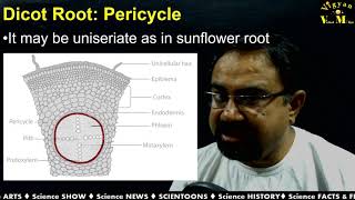 Plant anatomy: Unit I.3 & 4:  Lecture 05 Root Anatomy