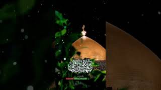 13 Rajab Wildat E  Imam Ali a.s Status 2023 #13rajab #imamali #یاعلی #haiderhaider #shorts