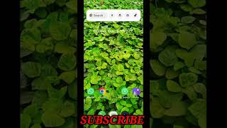 #video mobile ke theme ko change |#viralvideo #viralvideos#viral