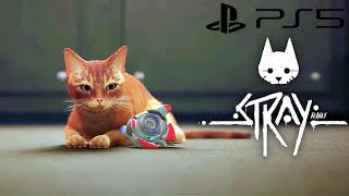 Stray PS5 Gameplay - Control Room (ENDING)