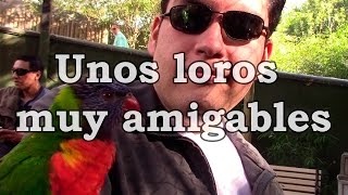 Busch Gardens | Orlando 2016 #10