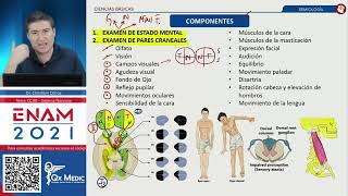 Semiología en Neurología