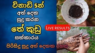 ලස්සන පැහැපත් අත් දෙකක රහස | How to make Hand whitening scrub at home #lassana #homeremedy #nimshi