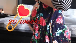 20 Week Bump Update | Feb 2, 2017