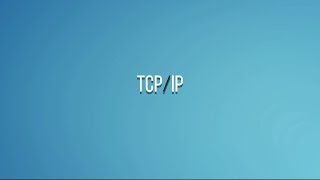 Winderton / Основы программирования. TCP/IP.