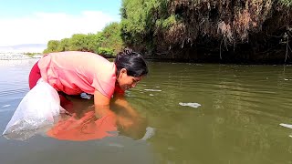 Así Atrapa esta PESCADORA Camarones en la poza del Río - fishing