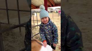 #petting #goat #school #fieldtrip #nature #pumpkinpatch #halloween #betashorts #viral #trending