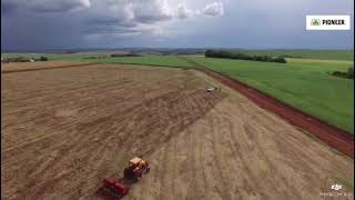 Plantio de Campo Demonstrativos de Híbridos Marca Pioneer Sementes em Santa Cecília do Pavão -PR