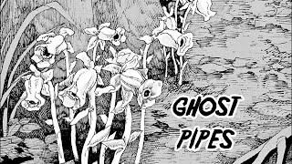 "Ghost Pipes" Animated Horror Manga Story Dub and Narration