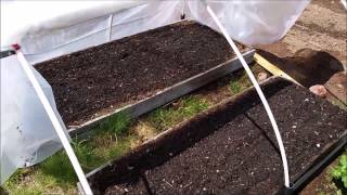 Vegetable Garden Update Week 1