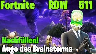 LP Fortnite RDW  - Rette die Welt - Auge des Brainstorms- Nachfüllen!  - Part 511