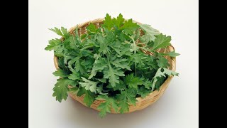 Witchy Wednesday: Parsley