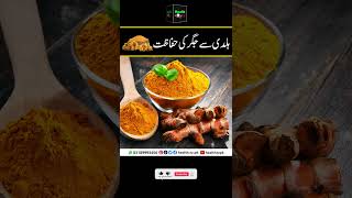 Liver protection with turmeric | ہلدی سے جگر کی حفاظت | haldee se leevar kee suraksha | Urdu Hindi