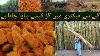 @Traditional Jaggery  Making /Garh making complete process from sugar cane/ vlog